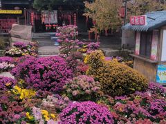-红石寨旅游度假区