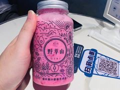 -野萃山·潮汕厚果汁(十亩地店)