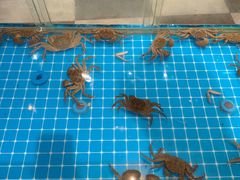 -星伦多自助料理(宝山龙湖天街店)