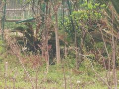 -不觉晓CAMPING(上海迪士尼营地店)