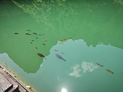 -山西通天峡景区