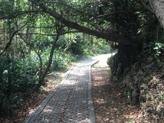 -鹅銮鼻公园