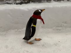 -长沙湘江欢乐雪域