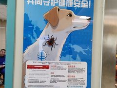 -北京观赏动物医院·24小时大型综合·猫专科·异宠专科