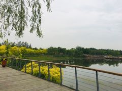 -东郊湿地公园