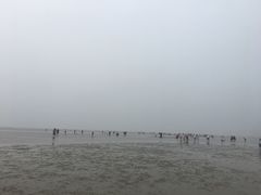 -刘家湾赶海园