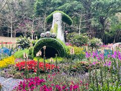 -广州市白云山风景名胜区