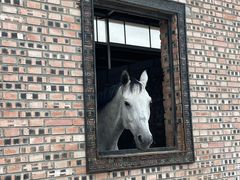 -意大利农场度假村