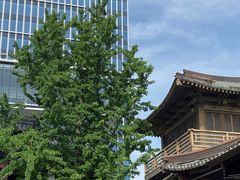 -香积寺
