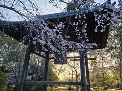 -醍醐寺