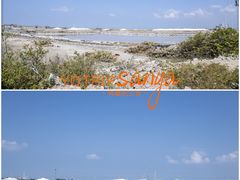 -莺歌海盐场
