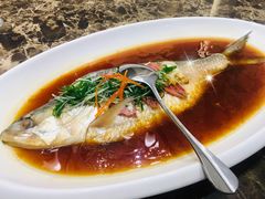 鲥鱼-沙田轩(古北店)