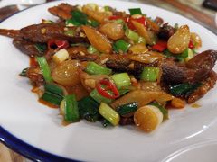 -椿记烧鹅(叠彩店)