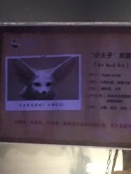 -未来动物城动物主题公园(大悦城店)