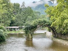 -四川省成都市彭州市白鹿镇