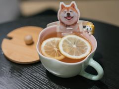 -逗柴咖啡屋·狗咖猫咖宠物桌游