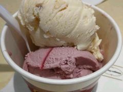 -哈根达斯(石家庄北国店)