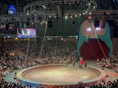 -俄罗斯国家大马戏团