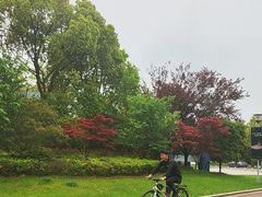 -苏州东太湖生态园