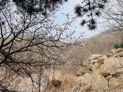 -天津盘山风景名胜区