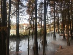 -东湖落雁景区