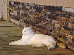 -雕刻时光·咖啡·酒吧·西餐(香山店)