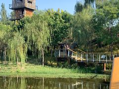 -东郊湿地公园