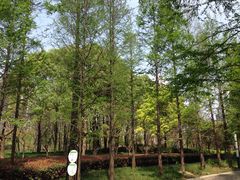 -苏州河梦清园环保主题公园