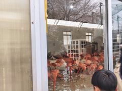 -秦皇岛野生动物园
