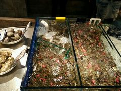 -马路边上·小海鲜烧烤(八一路店)