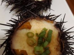 -海胆小馆(东北水饺·春柳店)