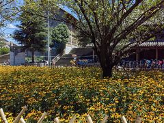 -花溪公园
