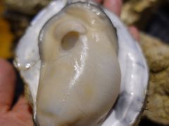 海味原只生蚝-烧蠔帮·生蚝海鲜牌档(观海店)