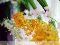 -上海浦东华美达大酒店