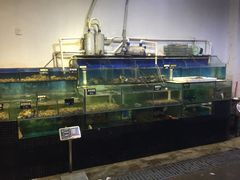 -蚝美人·生蚝海鲜烧烤(茶花园店)