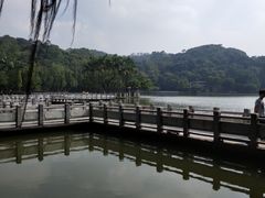 -西樵山风景名胜区-天湖公园