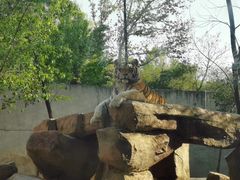 -西安秦岭野生动物园