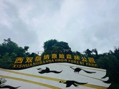 -西双版纳原始森林公园