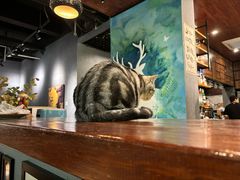 -咖法森林·咖啡  酒吧(天河店)