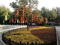 -丰台花园