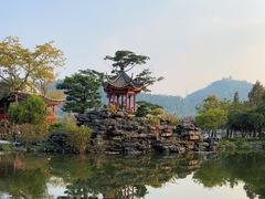 -顺峰山公园
