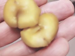 -秋栗香(地安门店)