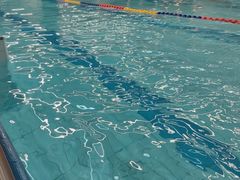 -小海豚国际游泳培训中心(浦东塘桥店)