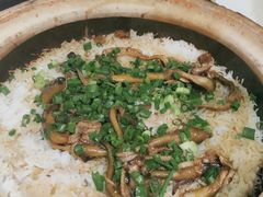 -优之名鹅城
