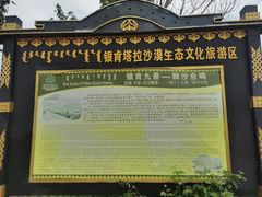 -银肯塔拉沙漠生态旅游景区
