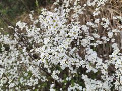 -广富林郊野公园