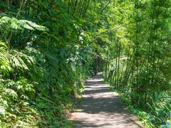 -赤水丹霞旅游区·大瀑布