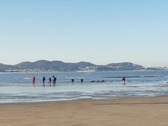 -长江澳风力发电景观区