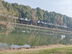 -皇粮浜湿地公园