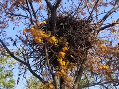 -天津东丽湖风景区